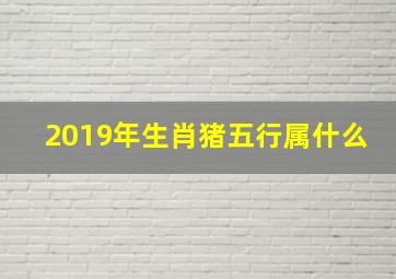 2019年生肖猪五行属什么