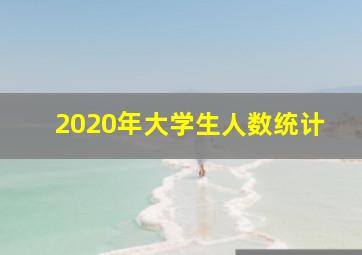 2020年大学生人数统计