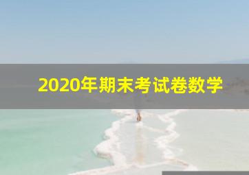 2020年期末考试卷数学