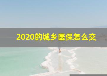 2020的城乡医保怎么交