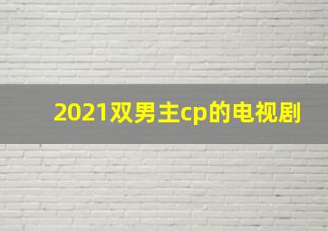 2021双男主cp的电视剧