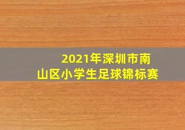 2021年深圳市南山区小学生足球锦标赛