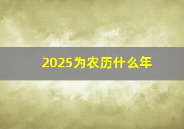 2025为农历什么年