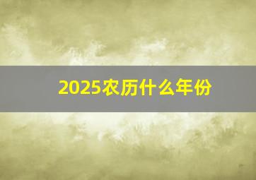 2025农历什么年份