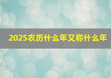 2025农历什么年又称什么年