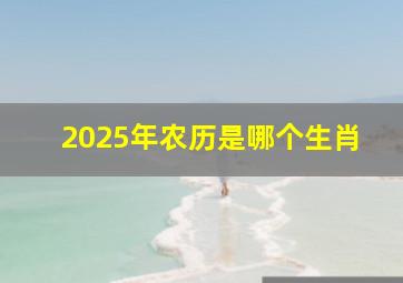 2025年农历是哪个生肖