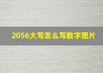 2056大写怎么写数字图片