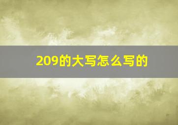 209的大写怎么写的