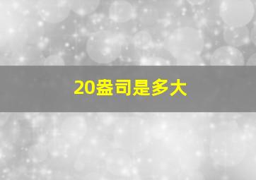 20盎司是多大