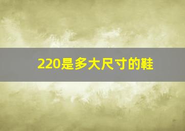 220是多大尺寸的鞋