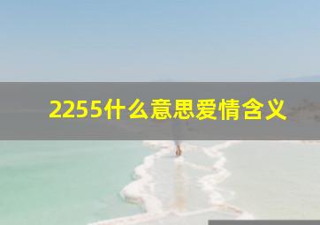 2255什么意思爱情含义