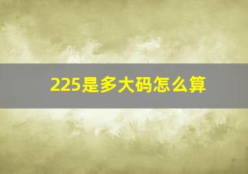 225是多大码怎么算