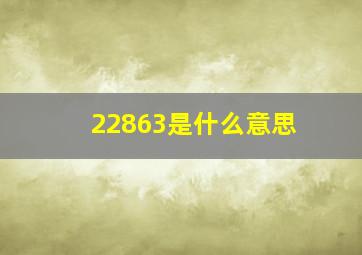 22863是什么意思