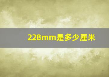 228mm是多少厘米