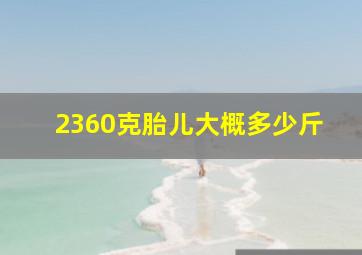 2360克胎儿大概多少斤