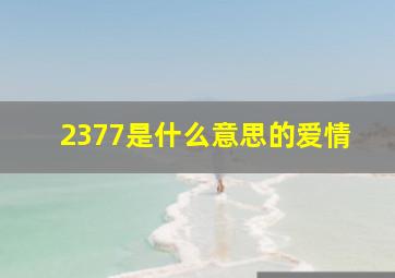 2377是什么意思的爱情