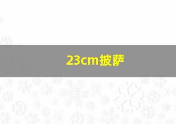 23cm披萨