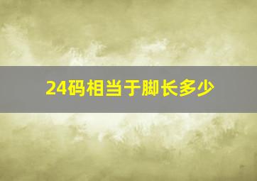 24码相当于脚长多少