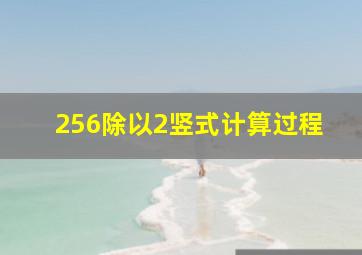 256除以2竖式计算过程