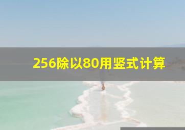 256除以80用竖式计算