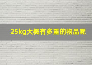 25kg大概有多重的物品呢