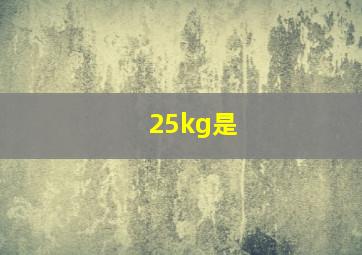 25kg是