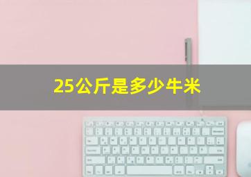 25公斤是多少牛米