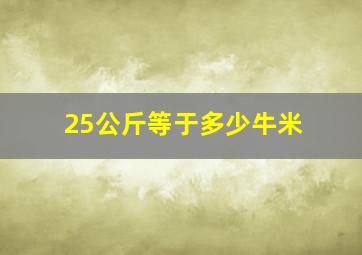 25公斤等于多少牛米