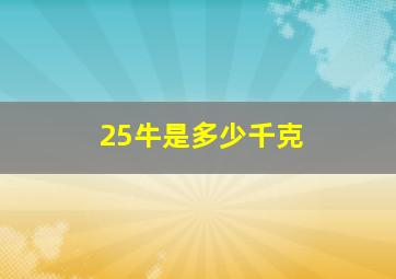 25牛是多少千克