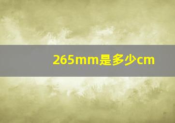 265mm是多少cm