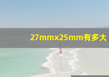 27mmx25mm有多大