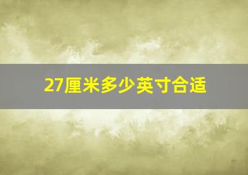 27厘米多少英寸合适