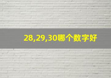 28,29,30哪个数字好