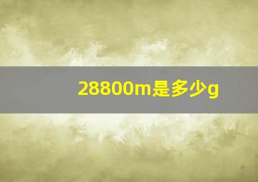 28800m是多少g