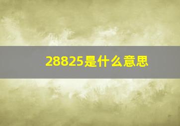 28825是什么意思