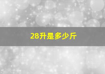 28升是多少斤