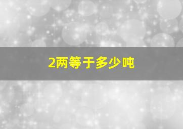 2两等于多少吨