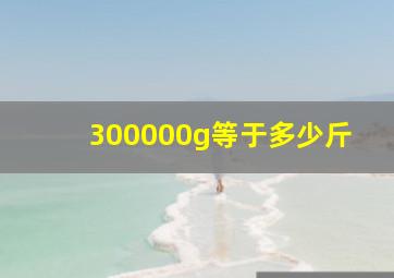 300000g等于多少斤