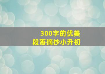 300字的优美段落摘抄小升初