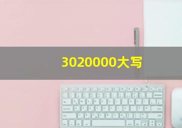 3020000大写