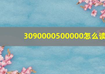 3090000500000怎么读