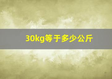 30kg等于多少公斤