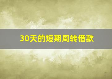 30天的短期周转借款