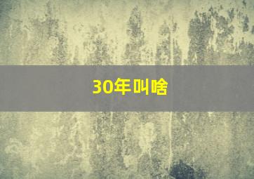 30年叫啥