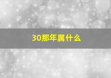 30那年属什么