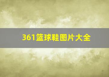 361篮球鞋图片大全