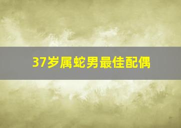 37岁属蛇男最佳配偶