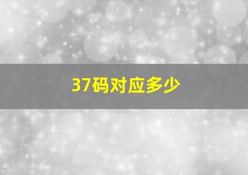 37码对应多少