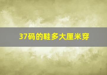 37码的鞋多大厘米穿