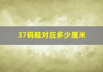 37码鞋对应多少厘米